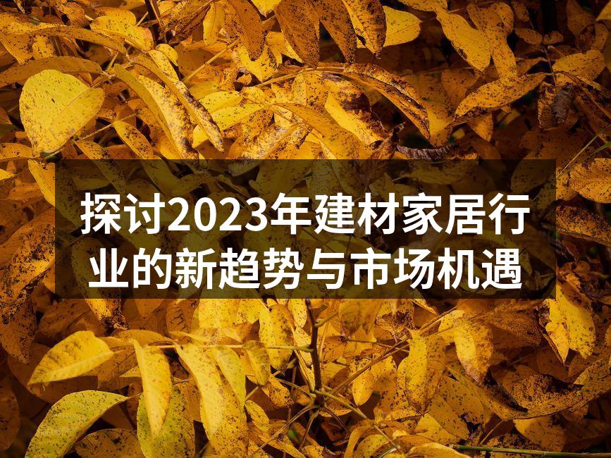 探讨2023年建材家居行业的新趋势与市场机遇